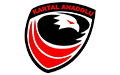 KARTAL ANADOLU SK